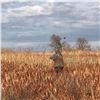 Image 1 : Nebraska Guided Upland Game Bird Hunt with Lodging & Meals for 4 Hunters