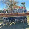 Image 6 : Nebraska Guided Upland Game Bird Hunt with Lodging & Meals for 4 Hunters