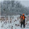 Image 8 : Nebraska Guided Upland Game Bird Hunt with Lodging & Meals for 4 Hunters