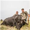 Image 5 : Water Buffalo & Wild Boar Hunt for 2 Hunters in Argentina