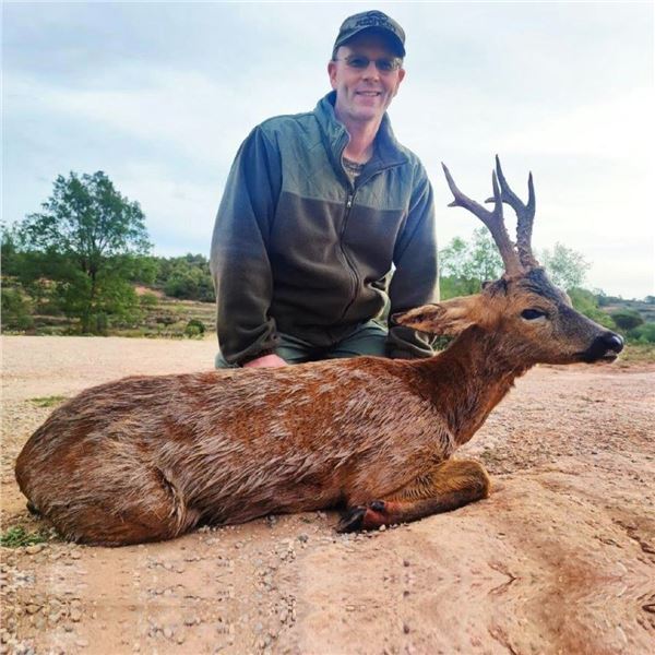 Spain Roe Deer Hunt for 1 Hunter and 1 Observer