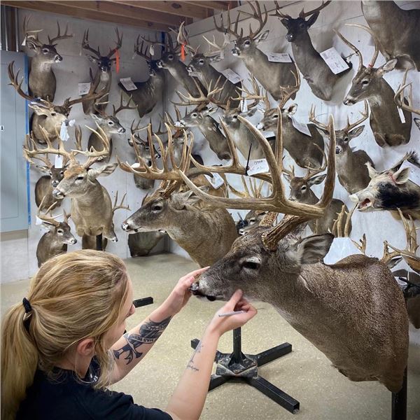 Double Nickle Taxidermy $500 Credit