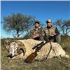 Image 3 : Northern Patagonia Big Game Hunt for up to 4 Hunters