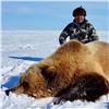 Image 8 : 10-Day Nunavut Territory, Canada CITES Exportable Barren Ground Grizzly Bear Hunt for 1 Hunter