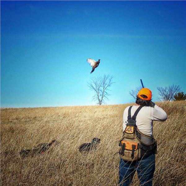 Ultimate Pheasant Hunting Package For 2 in Nebraska