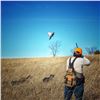 Image 1 : Ultimate Pheasant Hunting Package For 2 in Nebraska