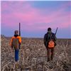 Image 2 : Ultimate Pheasant Hunting Package For 2 in Nebraska