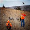 Image 3 : Ultimate Pheasant Hunting Package For 2 in Nebraska