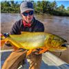 Image 3 : 5-Day Free Range Hunt & Dorado Fishing in Argentina for 2 People