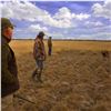 Image 4 : Argentina Mixed Bag Wingshooting Hunt For 4 Hunters