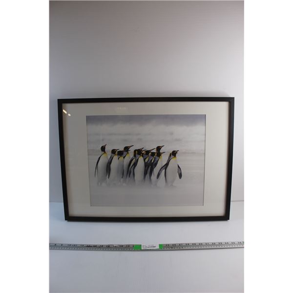 Framed Penguins Art Print 28'' x 21''