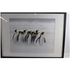 Image 2 : Framed Penguins Art Print 28'' x 21''