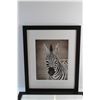 Image 2 : (2) Framed Zebra Art Prints 22'' x 18''