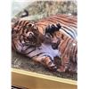 Image 2 : Framed Tiger & Cub Picture