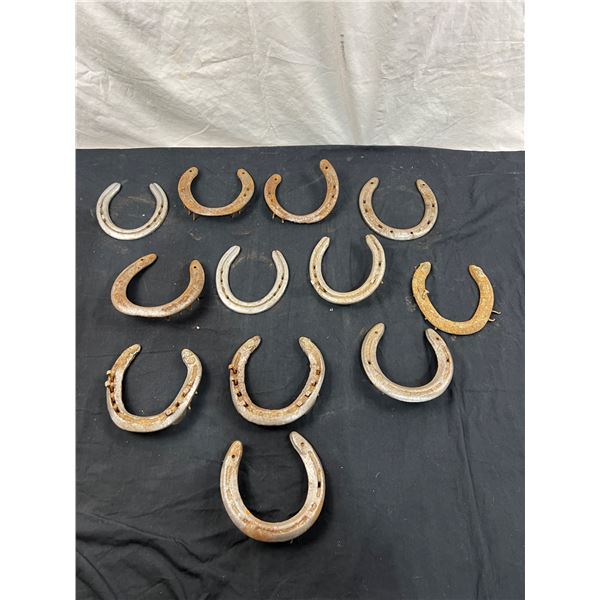 12 Horseshoes.