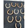 Image 2 : 12 Horseshoes.