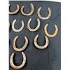 Image 3 : 12 Horseshoes.