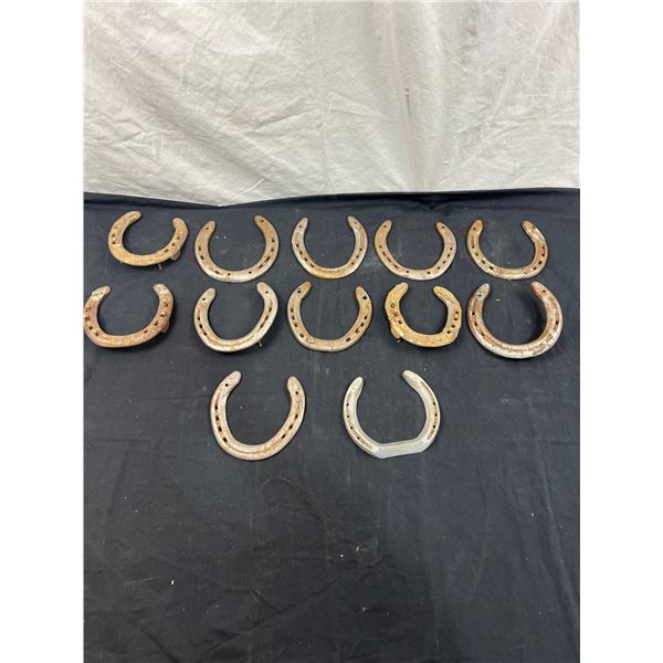 12 Horseshoes