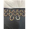 Image 2 : 12 Horseshoes