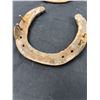 Image 3 : 12 Horseshoes