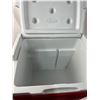Image 3 : 2 Coleman Coolers