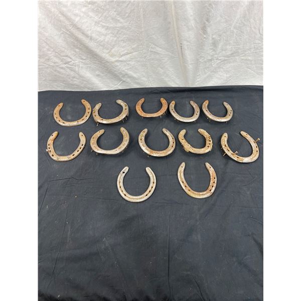 12 Horseshoes