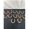 Image 2 : 12 Horseshoes