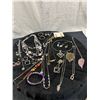 Image 1 : Costume Jewelry Lot