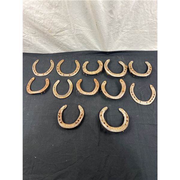 12 Horseshoes