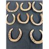 Image 2 : 12 Horseshoes