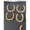 Image 3 : 12 Horseshoes