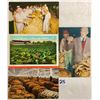 Image 1 : Tobacco & Related Postcards 90