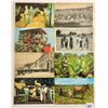 Image 3 : Tobacco & Related Postcards 90