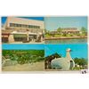 Image 1 : Long Island, New York Approx. 130 Postcards