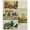 Image 1 : Long Island, New York 40+ Postcards
