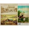 Image 1 : Animals - Horse Drawn Wagon Postcards Approx. 55