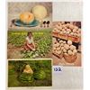 Image 1 : Farming - Fruit Related 45+ Postcards