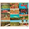 Image 2 : Farming - Fruit Related 45+ Postcards