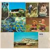Image 3 : Farming - Fruit Related 45+ Postcards