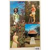 Image 4 : Farming - Fruit Related 45+ Postcards