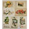 Image 1 : Novelty - Winsch Holiday Greeting Booklet Postcards 20