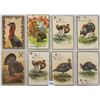 Image 8 : Thanksgiving Holiday Greeting Postcards 55+