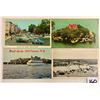 Image 1 : Thousand Island, New York Postcards Approx. 90