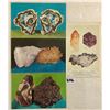 Image 1 : Gems - Rocks & Stones Approx. 125