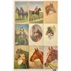 Image 4 : Animals - Horses 35+