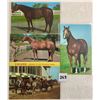 Image 1 : Animals - Named Horses & Race Horses 30 Postcards