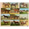 Image 2 : Animals - Named Horses & Race Horses 30 Postcards