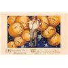 Image 1 : Winsch Halloween Boy Surrounded By Pumpkins Holiday Greeting Postcard