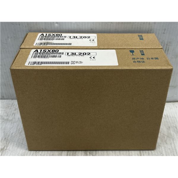 (2) Mitsubishi #A1SX80 Modules