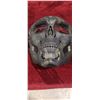 Image 2 : TWO HARD SHELL FACE MASKS